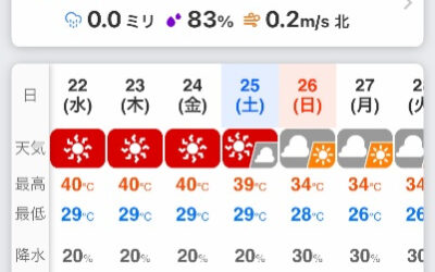 先週末から危険な暑さが続いています